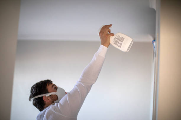 Best Mold Testing and Removal  in Parma, ID