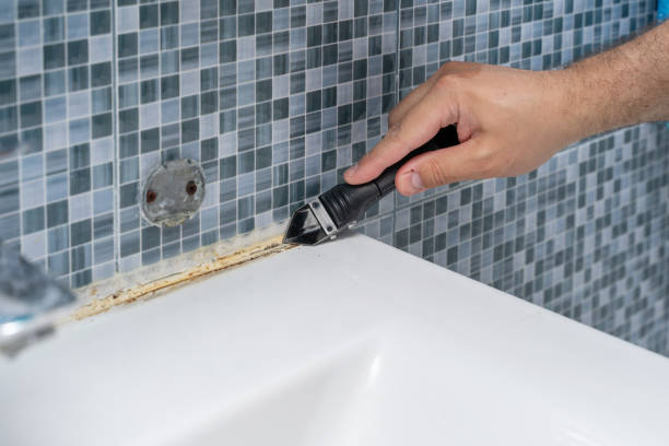Best Attic Mold Removal  in Parma, ID